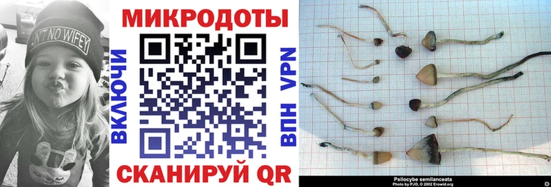 OMG как зайти  Бобров  Псилоцибиновые грибы Psilocybe  купить  сайты 
