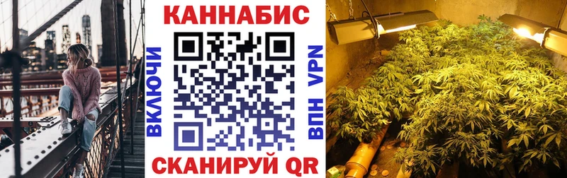 ссылка на мегу ссылка  darknet официальный сайт  Каннабис семена  Бобров 